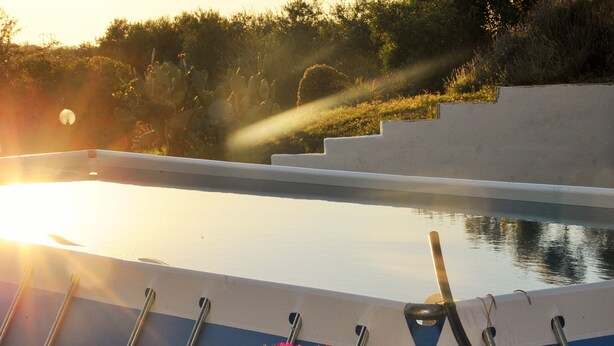 Une piscine avec des marches permettant d’y accéder, entourée de verdure et sous un ciel dégagé.