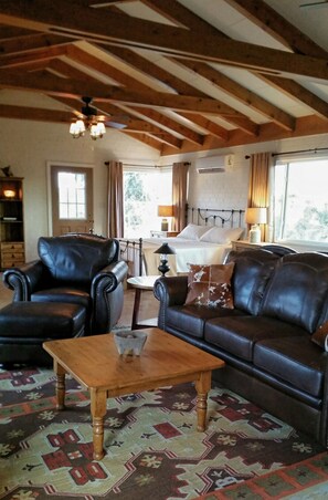 TV, DVD player, books, video library