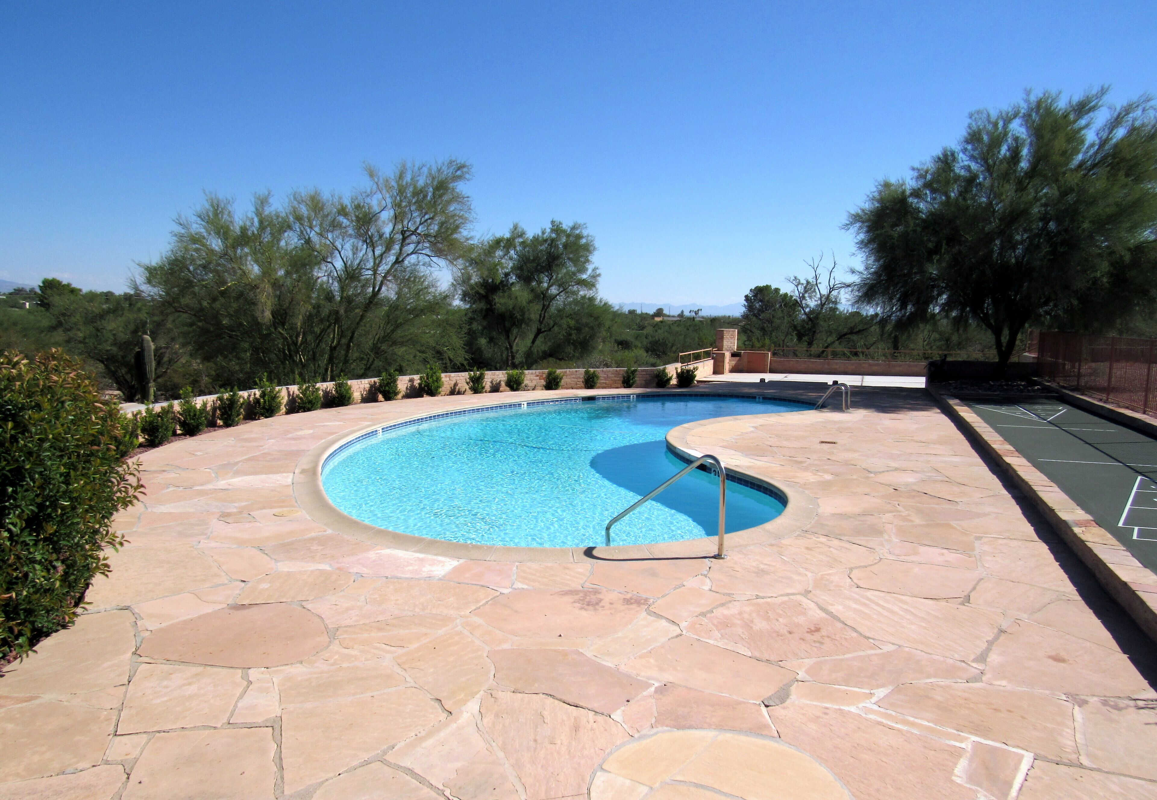Piscina con solana de piedra, rodeada de árboles y cielo despejado.