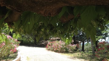 Enceinte de lâhĂ©bergement