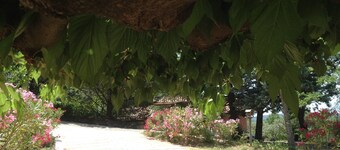 Un petit coin de paradis en Provence