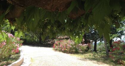 Un petit coin de paradis en Provence