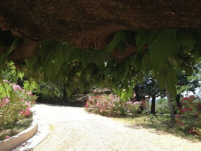 A little paradise in Provence