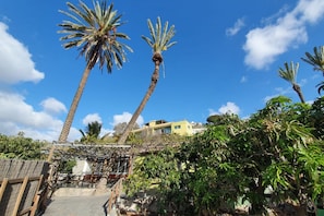 A residential area with palm trees, a wooden fence, and a yellow building in the background.