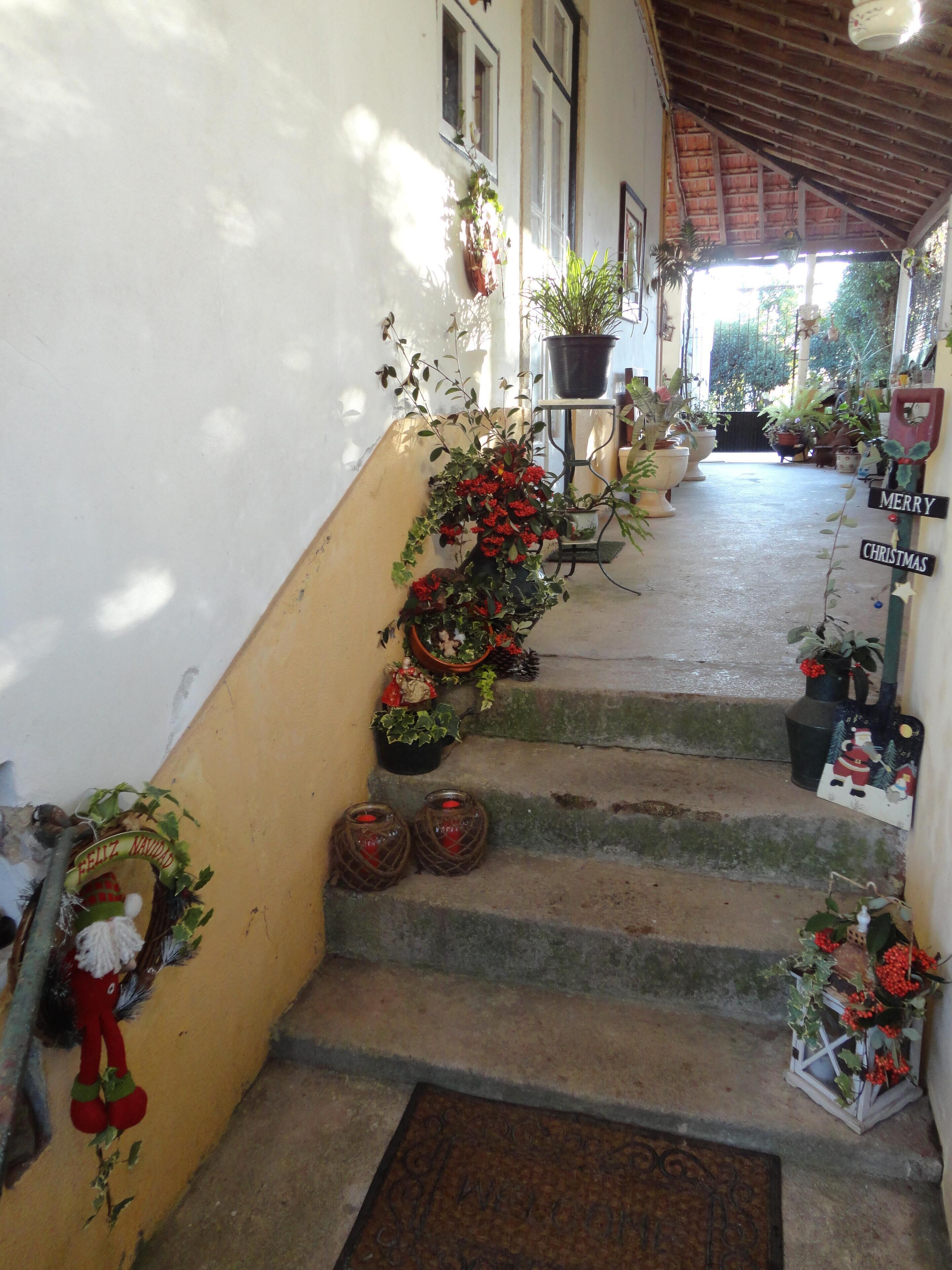 Quinta da Mesa - Rural Accommodation