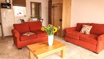 Smart TV, foosball, books, video library