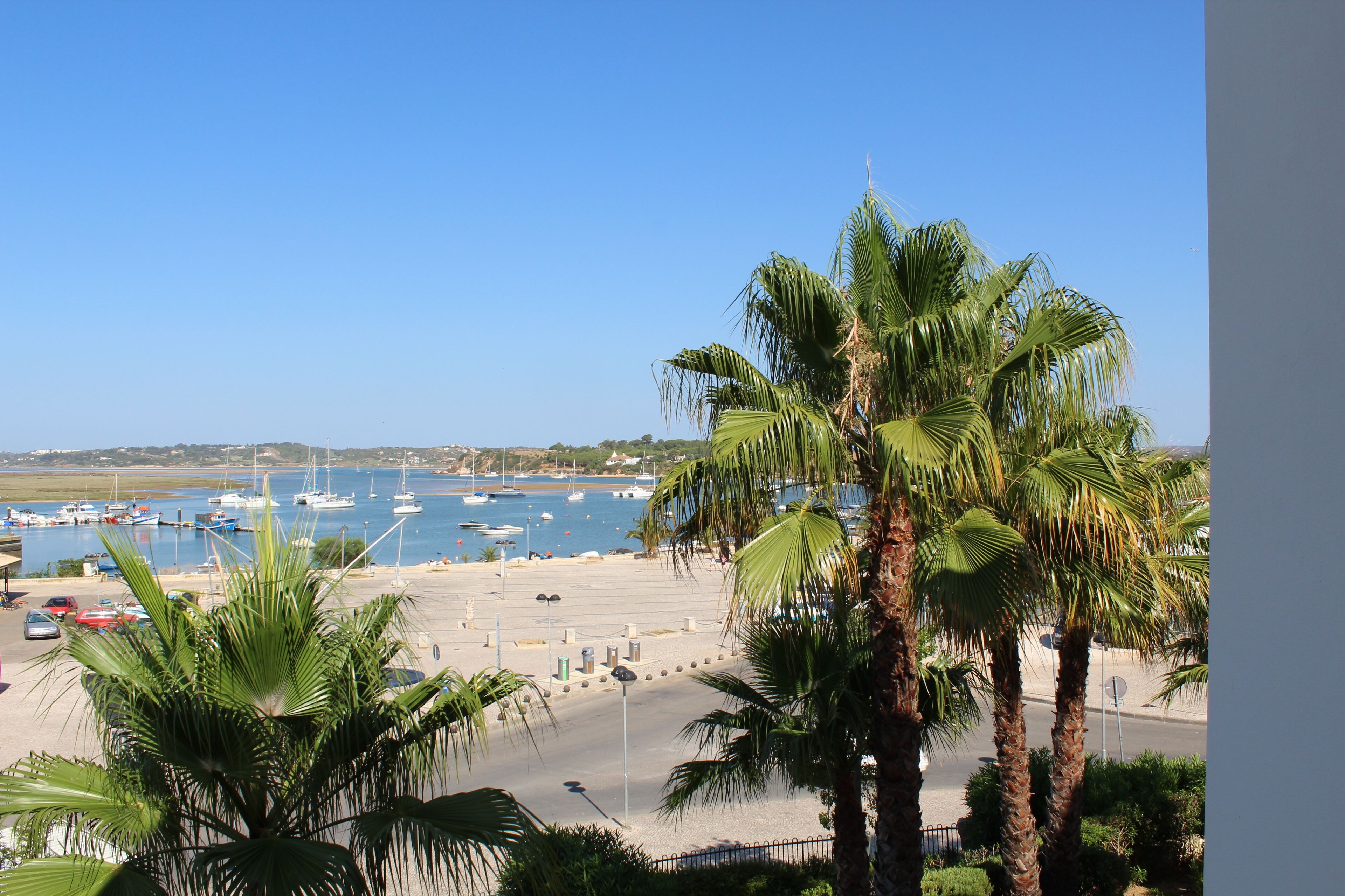 Una marina con barche, una spiaggia sabbiosa e palme.