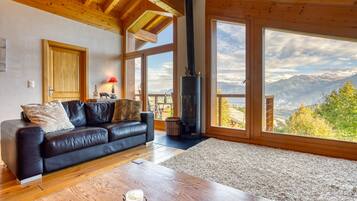 TV connectée, cheminée, lecteur de DVD, livres