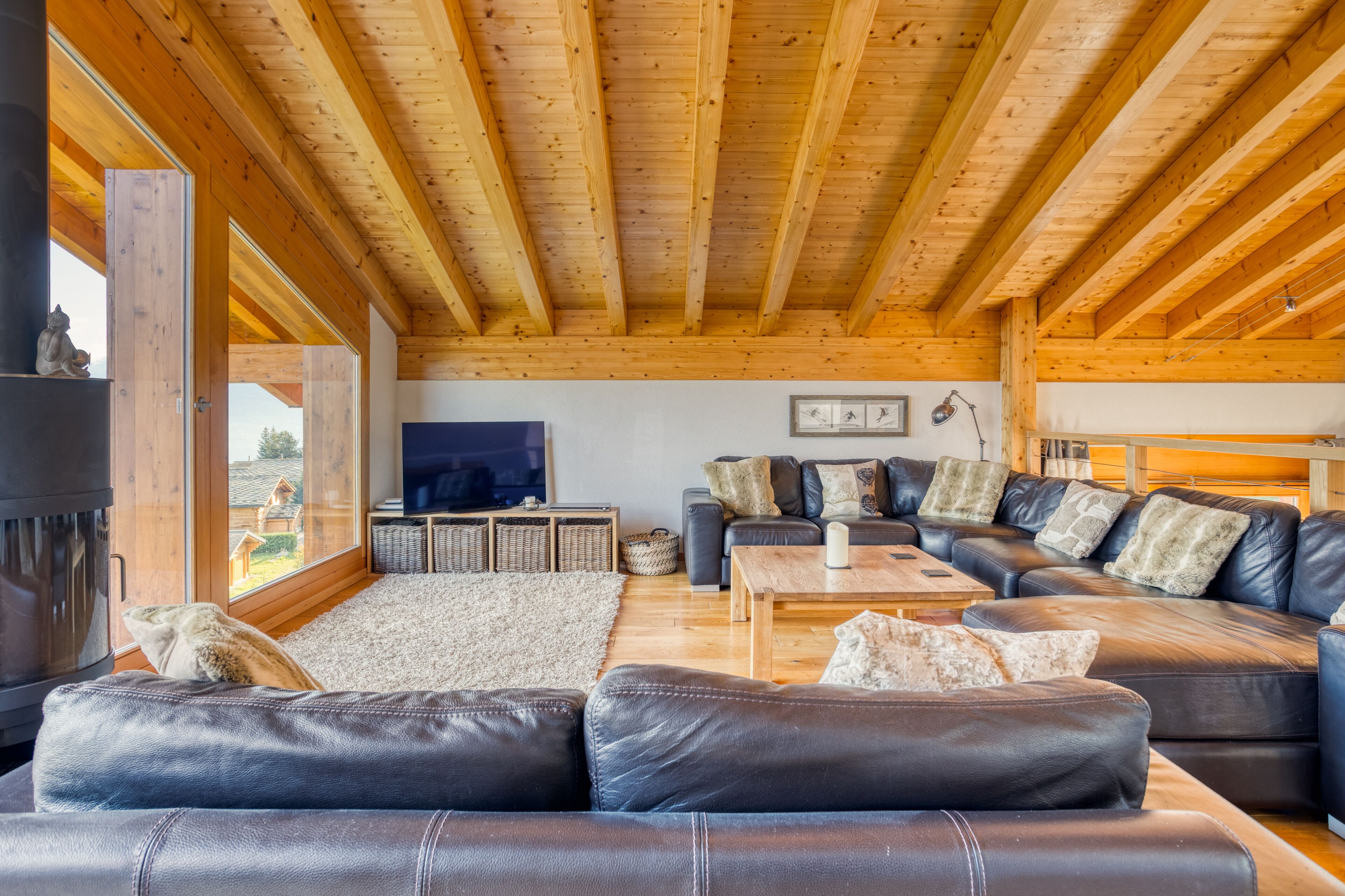 TV connectée, cheminée, lecteur de DVD, livres