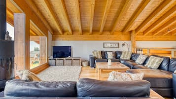 TV connectée, cheminée, lecteur de DVD, livres