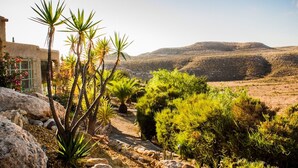 A desert landscape with a variety of vegetation, including palm trees and shrubs, and a distant hill. - La Joya de Cabo de Gata - Cortijo El Cala Plomo (Agua Amarga)