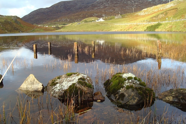 View from the cottage