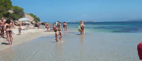 Nära stranden
