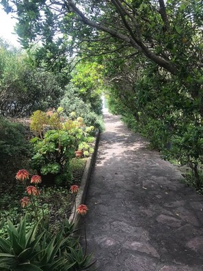 Property grounds - Carloforte Palme House, 4BR, Walk to Beach, Garden (Carloforte)