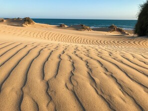 Toallas de playa 