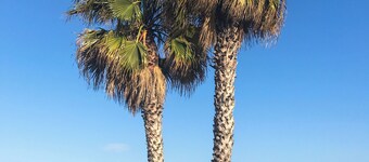 Typical Fisherman seahome Sicily