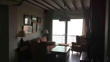 Televisión, chimenea y libros