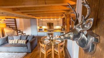 TV connectée, cheminée, lecteur de DVD, livres