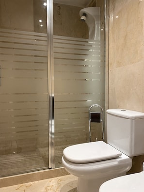 Combined shower/tub, hair dryer, bidet, towels
