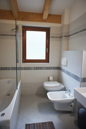 Ensemble douche/baignoire, baignoire à jets, sèche-cheveux, bidet