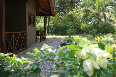 Oasis Apartment - Cahuita - Limon