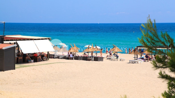 Een strand met rieten parasols, ligstoelen en een helder uitzicht op de oceaan.