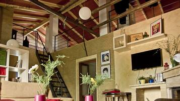 TV, fireplace, books