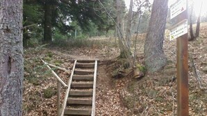A wooden staircase leading up a forested path. - Lovingly furnished attic vacation apartment in Vosges house (up to 4 people maximum) (Hohrod)