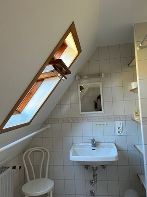 A bathroom with a skylight, a sink, a mirror, and a toilet. - Beautiful apartment in a huge house in the Vosges (Hohrod)