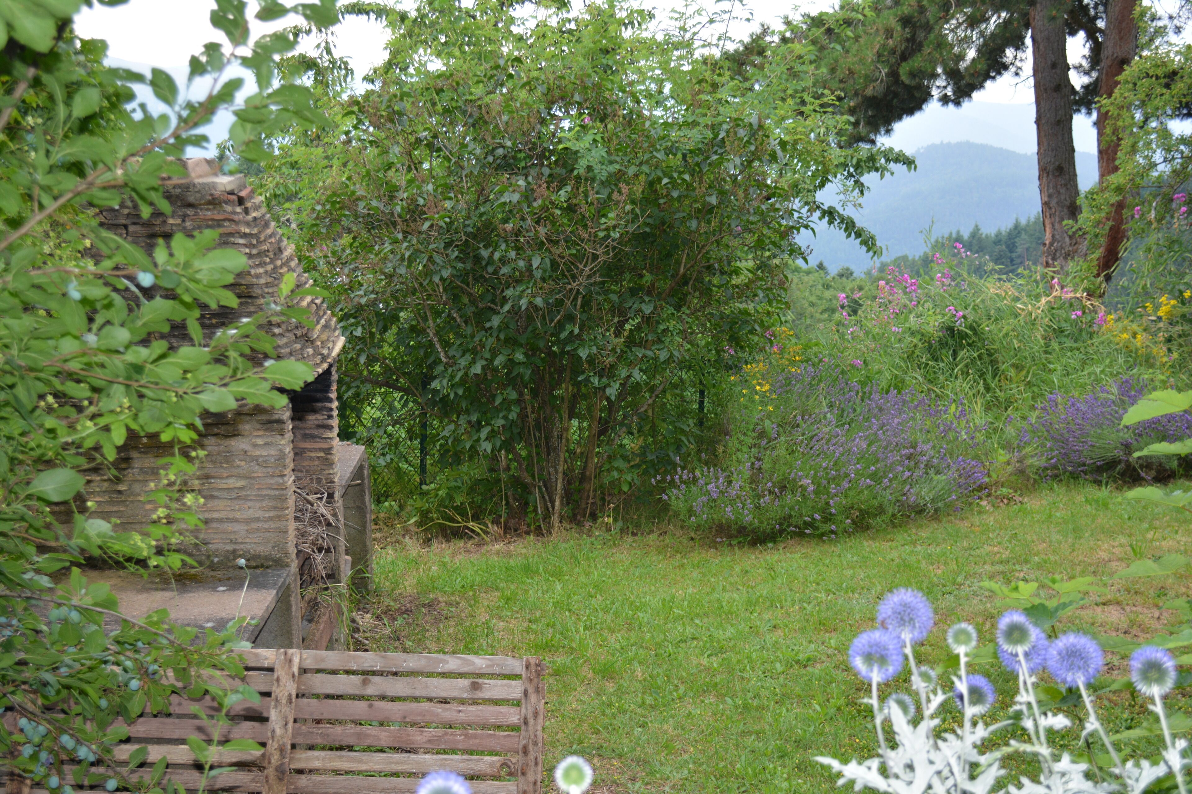 Ein Garten mit Steinmauer, Holzbank und verschiedenen Pflanzen, darunter lila Blumen.