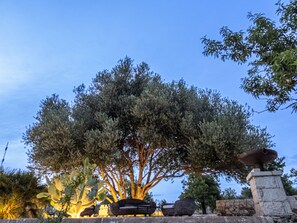 Property grounds - House Mmiriusa (Noto)