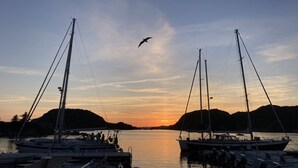 En småbåtshamn med förtöjda båtar, en klar himmel och en fågel som flyger.