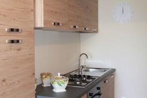 Fridge, oven, stovetop, cookware/dishes/utensils