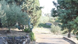 A paved driveway leading to a stone wall with a lamp post, surrounded by various trees and shrubs. - Casa Vacanza Etna - A OASI OF PEACE AND SERENITY (Linguaglossa)