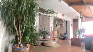 Un vaste espace de vie agrémenté d’une grande plante en pot, d’un banc en bois et d’une cheminée.