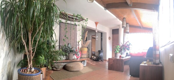 Amplia sala de estar con una planta en maceta grande, un banco de madera y una chimenea.