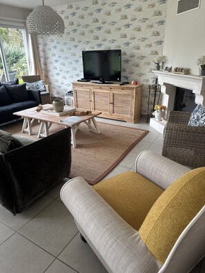 TV, fireplace, video games, DVD player