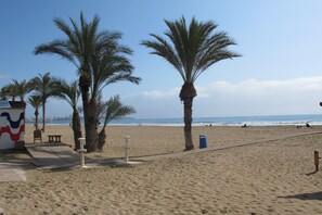 Playa en los alrededores y camastros 