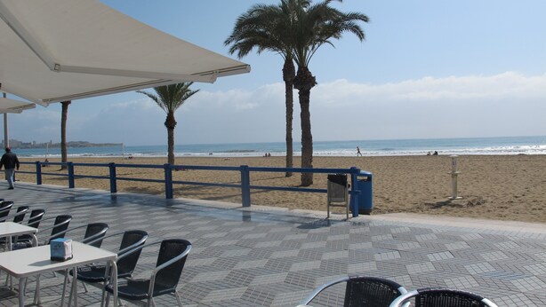 Un espace extérieur aménagé avec des tables et des chaises, offrant une vue sur une plage bordée de palmiers et sur l’océan.
