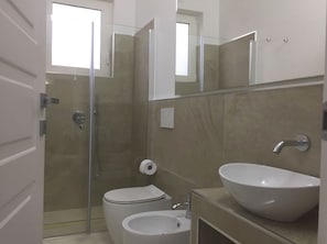 Shower, hair dryer, bidet, towels