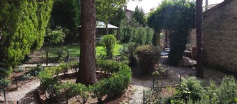 Fascinating in Gubbio "Bishop 7"