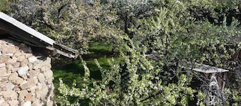 Vuokra-asunto tyyppi 3 vuoristotalossa Risoulissa - 05600