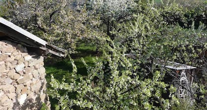 Mietwohnung Typ 3 im Berghaus in Risoul - 05600