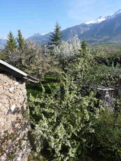 Rental apartment type 3 in mountain house in Risoul - 05600