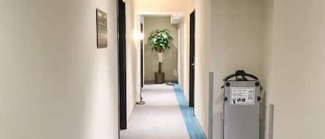 A hotel corridor with directional signs, a potted plant, and a utility box.