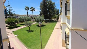 A courtyard with a well-maintained lawn, palm trees, and a pathway.