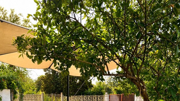 An outdoor patio with a table and chairs, surrounded by a fence and greenery. - Giba holiday home near the sea (Giba)