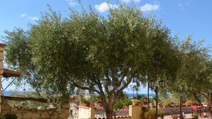 An outdoor patio area with a tiled floor, a large tree, and stone walls.