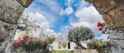 Áreas de la propiedad