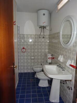 Shower, hair dryer, bidet
